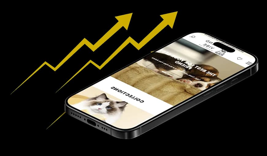 TrendVibe Co. Success Story